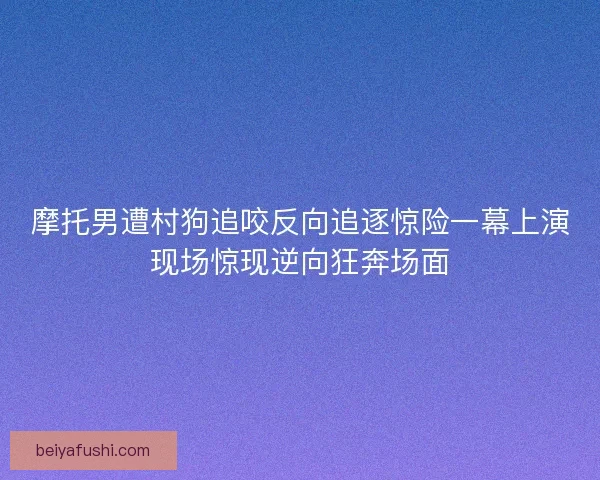 摩托男遭村狗追咬反向追逐惊险一幕上演现场惊现逆向狂奔场面